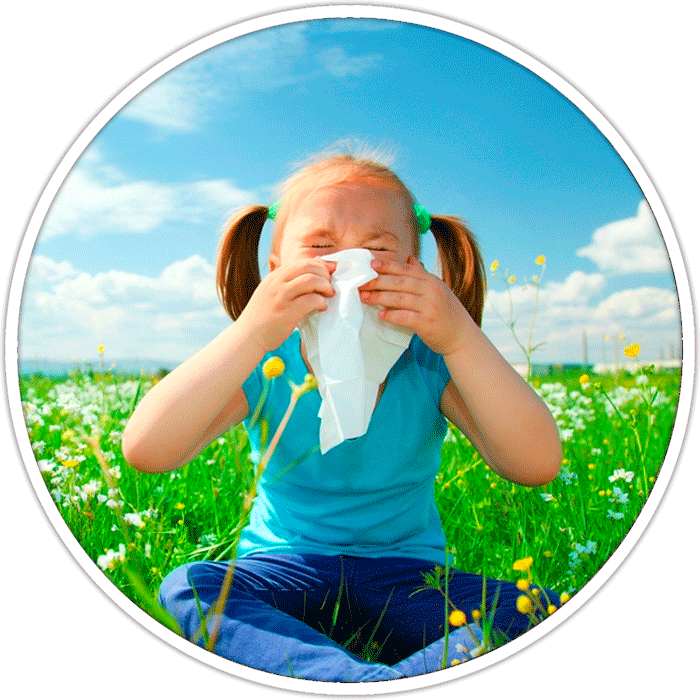 пыльцевая аллергия